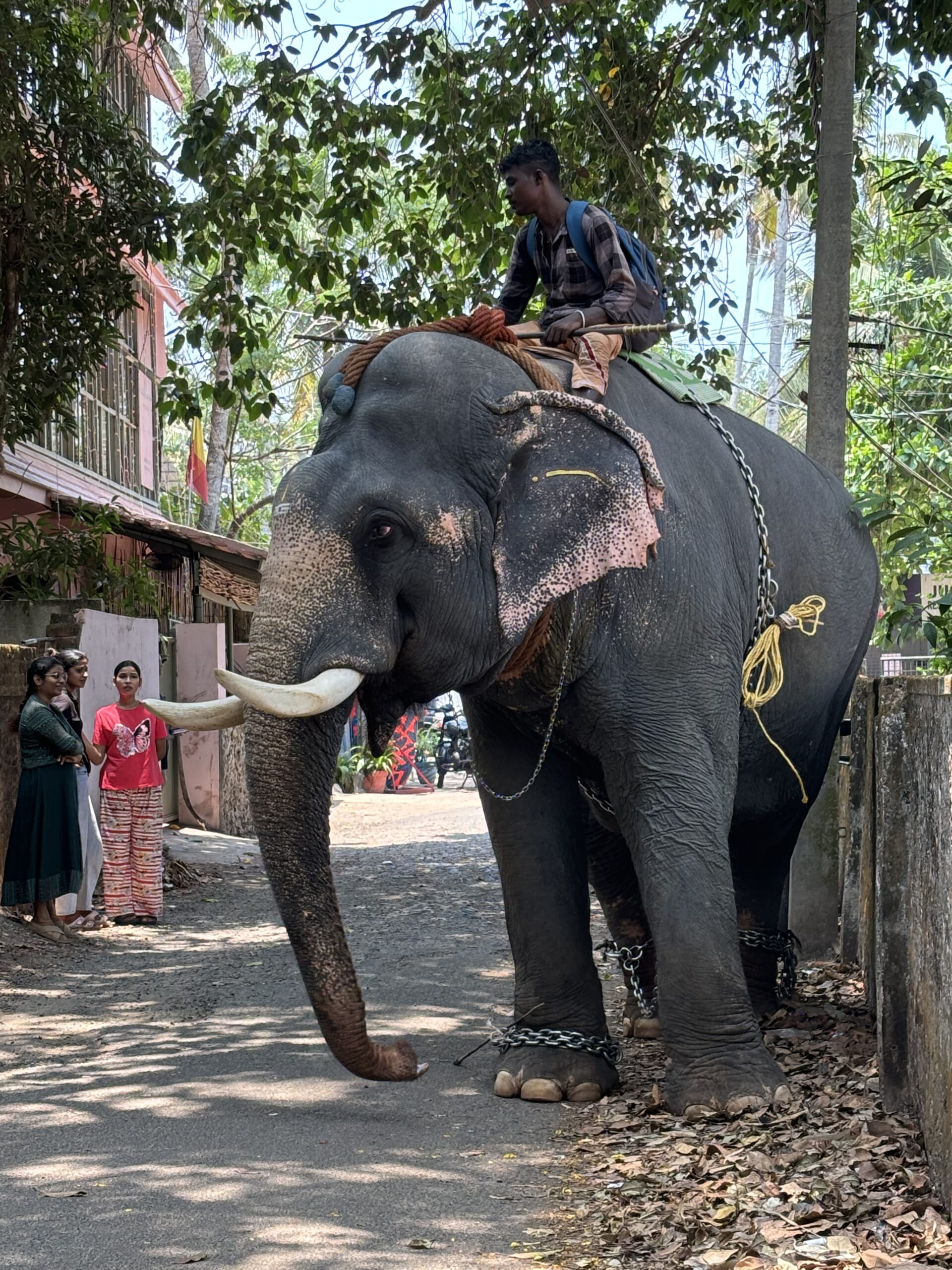 Welcome to Varkala…this has to be a good omen!